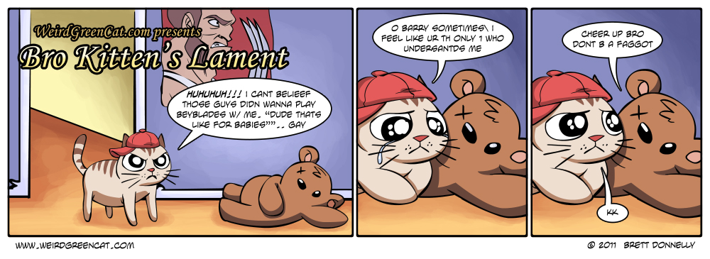 Bro Kitten’s Lament